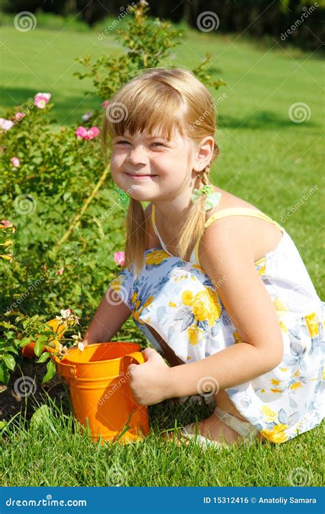 Watering roses stock photo. Image of natural, grass, care - 15312416