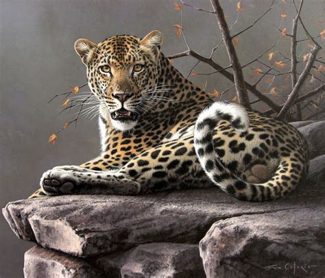 Throne Of Rock By Fabrizio Caforio Big Cats Art Animal Paintings
