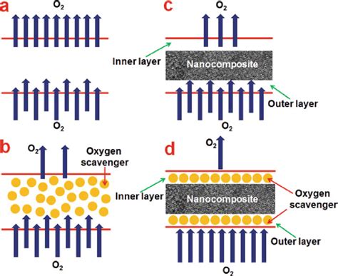 Structural Representation Of Multilayer Nanocomposite Food Packaging Download Scientific