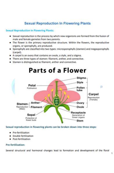 Cbse Class 12 Biology Sexual Reproduction In Flowering Plants Pdf