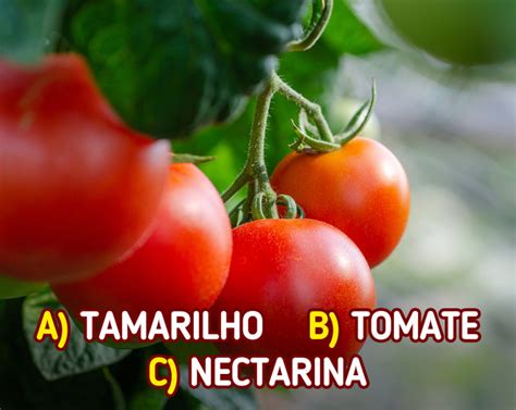 Teste Descubra Se Voc Um Bom Observador Ao Acertar O Nome Destes