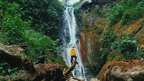 Jelajahi Dan Nikmati Pesona Curug Di Ciamis Tempat Wisata Alam Yang