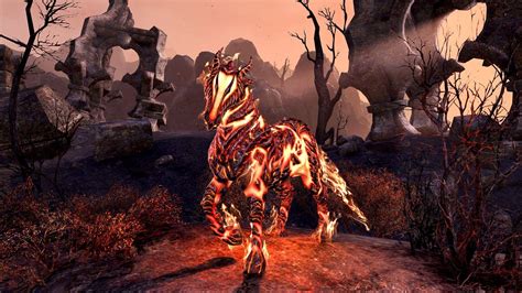 How Do I Get The Flame Atronach Pony Pet And Ouroboros Crown Crate