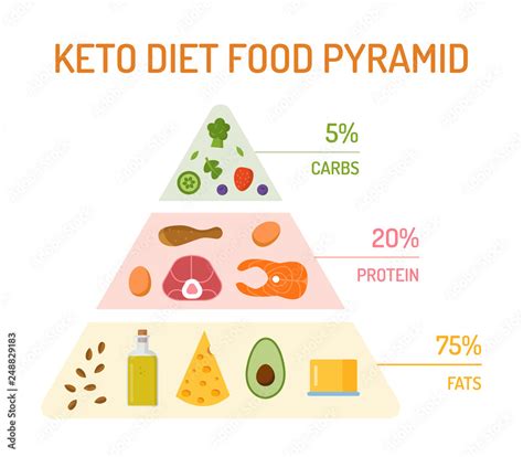 Keto Diet Food Pyramid The Percentage Of Fats Proteins And Carbs Flat Design Vector