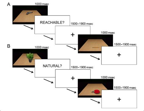 Schematic Representation Of A Sequence Of Two Trials In A The RJT And