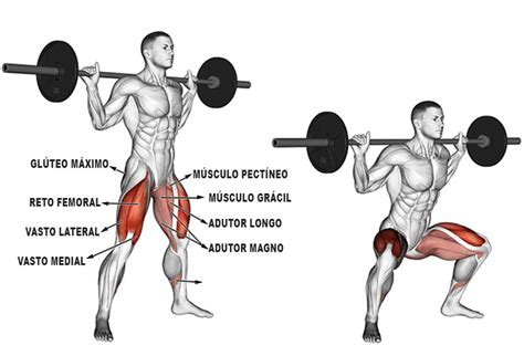 Flexões agachamentos e barras trabalham quais grupos musculares