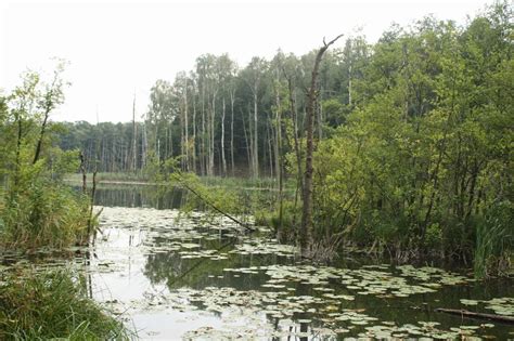 Kraina Wędrujących Wysp Kujawski ostęp rezerwat przyrody Grodno