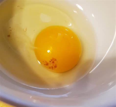 My Egg Looks Like An Evil Gudetama R Pareidolia