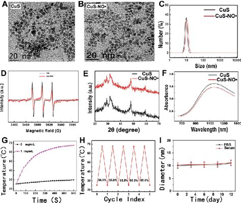 Characterization Of Cus Noc Nps A Tem Of Cus Nps B Tem Of Cus Noc