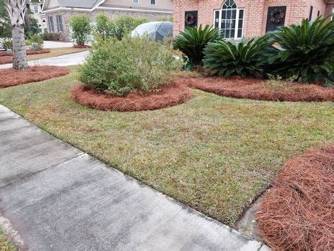 70 Best Pine Straw Landscaping ideas | pine straw landscaping ...