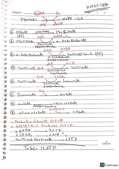 Solution Biochemistry Pathways Studypool