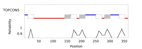 Topcons Consensus Prediction Of Membrane Protein Topology And Signal