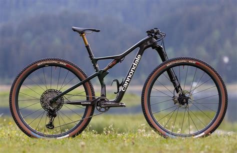 Al Detalle La Cannondale Scalpel LAB71 De Mona Mitterwallner