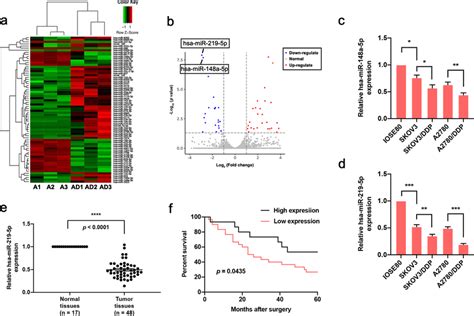 Decreased MiR 219 5p Level In OC Is Also Related To The Poor Patient