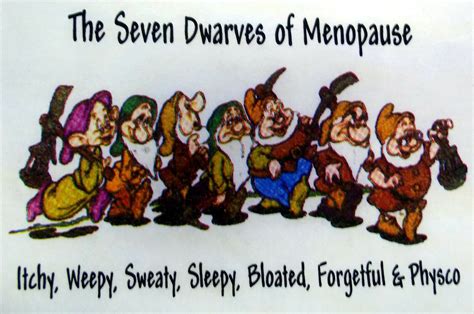 7 Dwarves Of Menopause Funny T Shirt Great T Small Medium Large Or Xl 140 T Shirts