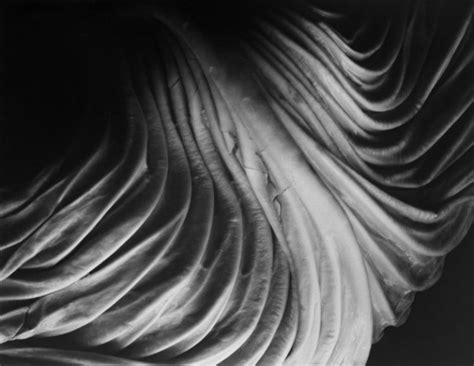 Cabbage Leaf, 1931 - Huxley-Parlour Gallery