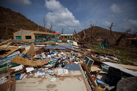 Garbage from Hurricane Irma to be converted into energy by Florida - News for the Oil and Gas Sector