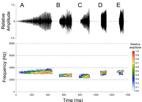 Comparative Oscillograms Top And Corresponding Spectrograms Bottom