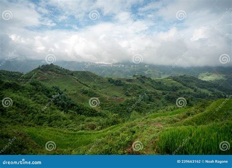 Sapa, Vietnam Rice Terraces Stock Photo - Image of rice, adventure ...