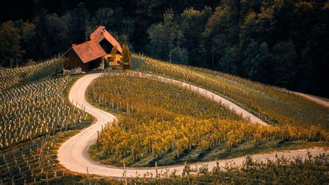 3 vini imperdibili della Calabria dove la tradizione vitivinicola è