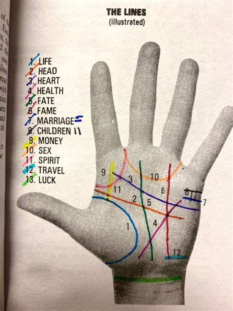 Palmistry Palm Reading Palm Reading Charts Palmistry Reading