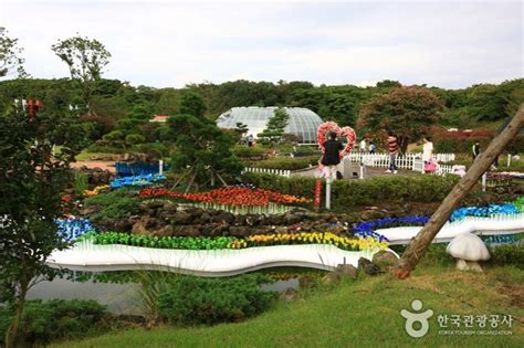 10 Interesting Museums On Jeju Island That Ll Leave You In Awe