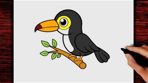 Comment Dessiner Un Oiseau Toucan Facile Youtube