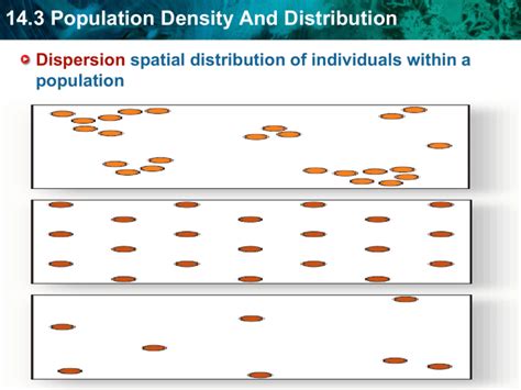 143 Population Density And Distribution