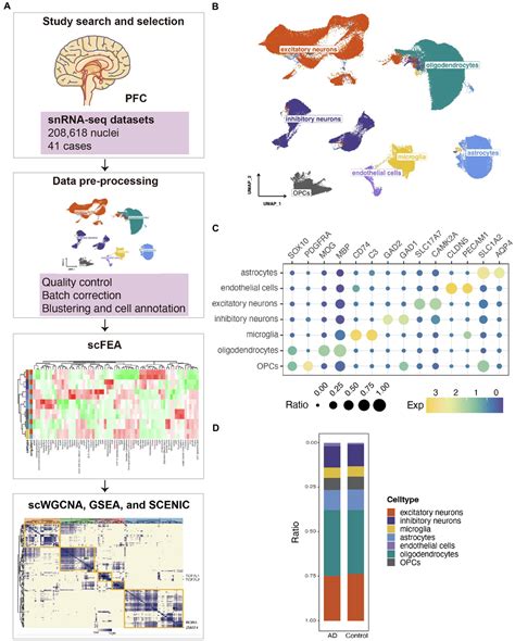 Frontiers Single Nucleus Transcriptional Profiling Uncovers The