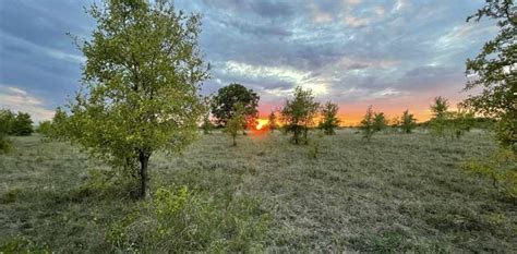 Texas Hunting Season 2023 Texas Hill Country