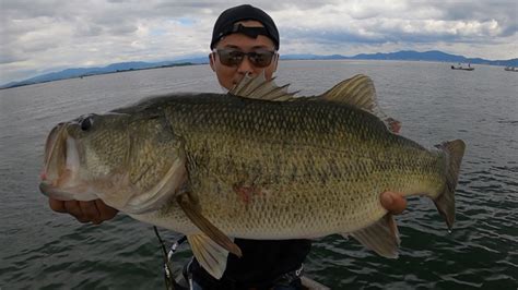 琵琶湖バス釣り大混雑な琵琶湖 琵琶湖のバス釣りガイド Guide Service YOSHIDA バスフィッシングガイド初心者