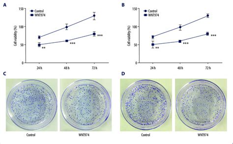 Wnt Inhibited Hut And Bjab Cells Proliferation A B The Cell