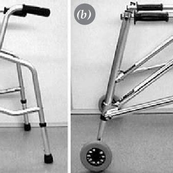 Walker types: (a) anterior and (b) posterior walkers. | Download ...