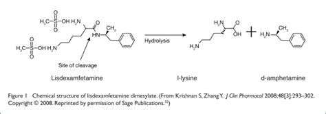 Lisdexamfetamine Dimesylate Vyvanse A Prodrug Stimulant For