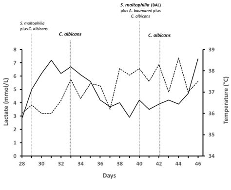 Clinical Microbiological Monitoring During The Patient S Stay At The