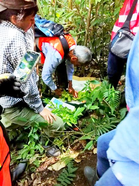 Serfor Perú on Twitter SERFOR autoriza el acceso a los recursos