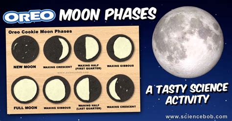 Oreo Cookie Moon Phases - ScienceBob.com | Oreo moon phases, Moon phases, Moon activities