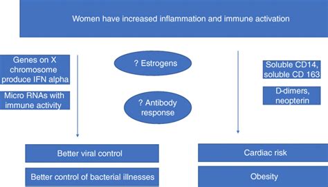 Sex Differences In The Inflammatory Response Download Scientific Diagram