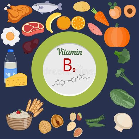 Vitamina B9 O ácido Fólico Infographic Ilustración del Vector