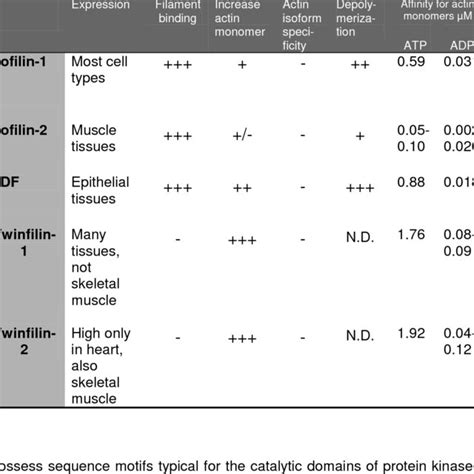 Actin-binding proteins. Classification and cellular functions of those... | Download Table