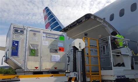 American Airlines expands cargo operations - AviTrader Aviation News