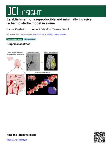 Pdf Establishment Of A Reproducible And Minimally Invasive Ischemic