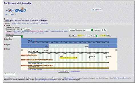 Rat Genome Database Semantic Scholar