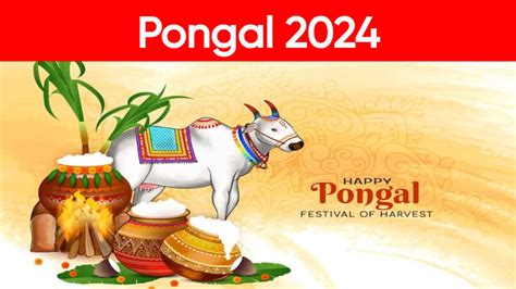 Pongal 2024: Date, History, Rituals, Celebration and Significance