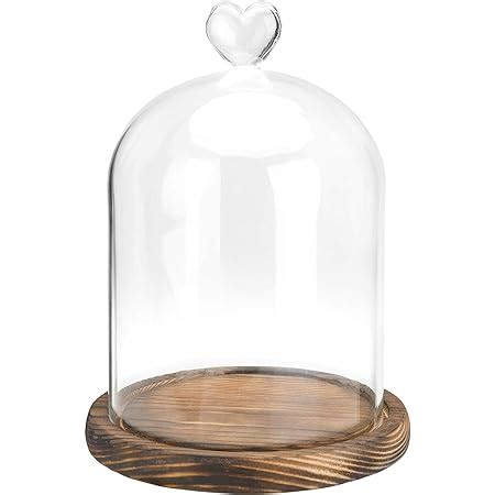 Amazon Stonebriar 8 Inch Clear Glass Dome Cloche With Rustic