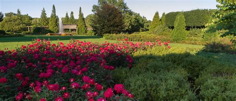 Celebrate The Rose Garden Chicago Botanic Garden