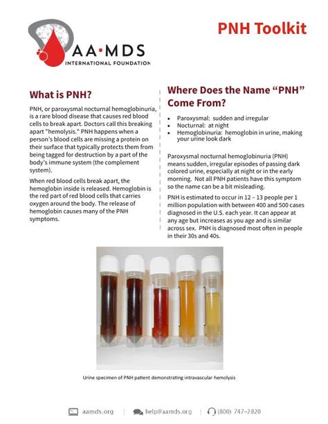 Pnh Toolkit Aplastic Anemia Mds International Foundation