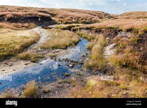 River Kinder Almost Dried Up In Summer With New Moor Grass And Other Vegetation After Moorland