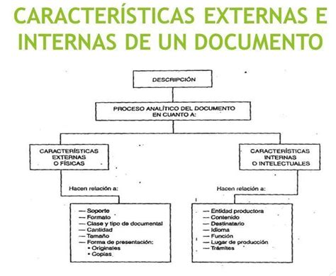 Caracteristicas Internas Y Externas Del Mapa Conceptual Phore Porn Sex Picture