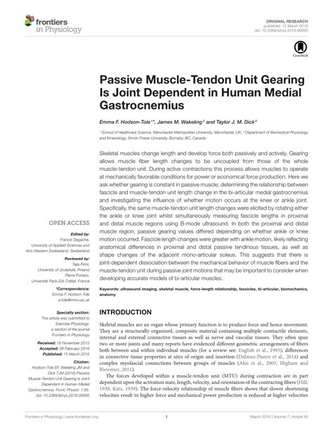 Pdf Passive Muscle Tendon Unit Gearing Is Joint Dependent In Human